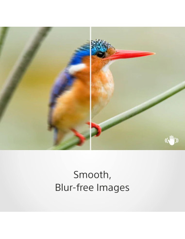 Lente Fija Sony SEL35F18 35mm f/1.8 Compacta y Ligera