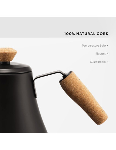 Tetera Eléctrica de Cuello de Ganso Bodum Melior 0.8L Acero Inoxidable