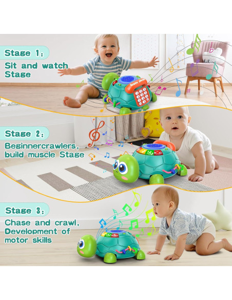 Tortuga Musical para Gatear Meehuan 6-12 Meses con Luz y Sonido