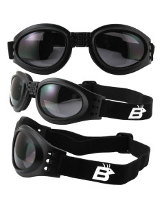 Gafas de Motocicleta Birdz Parrot 2 Pares Ahumadas y Amarillas 2