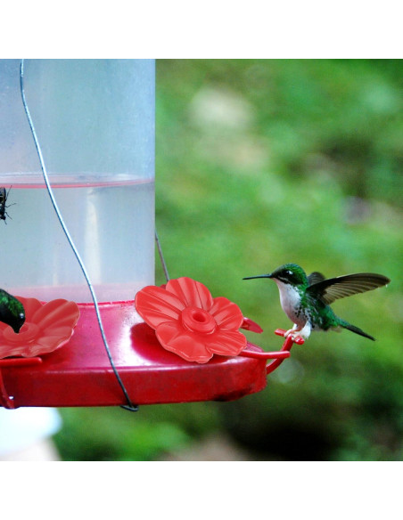 Juego de 16 Flores Rojas para Alimentadores de Colibríes - Salbsever Juego de 16 Flores Rojas para Alimentadores de Colibríes - Salbsever