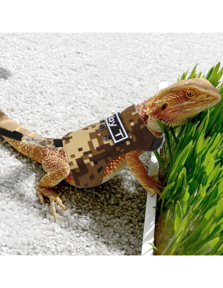 Conjunto Arnés y Correa Hypeety para Dragón Barbudo Ajustable