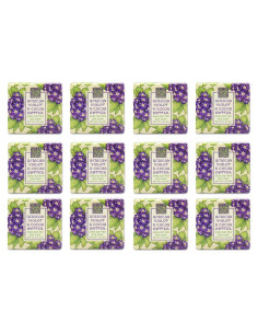 Jabones de Barra Aromatizados Greenwich Bay Violeta Africana - 12 Mini Jabones 53 g