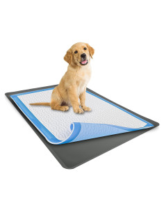 Soporte de Almohadilla de Silicona Skywin 71x86 cm Impermeable