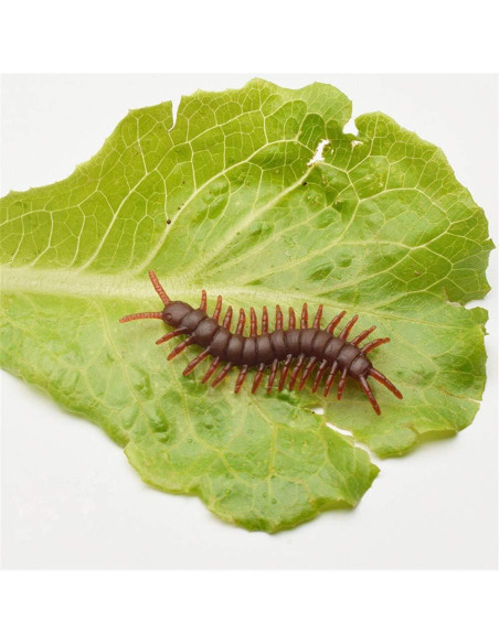 20 Ciempiés Falsos Realistas Wendy Mall - Broma Halloween