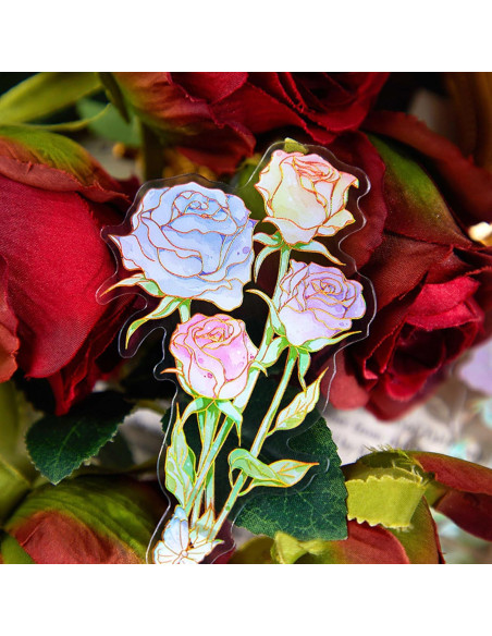 40 Marcadores Holográficos Lora Rossie Transparentes PVC