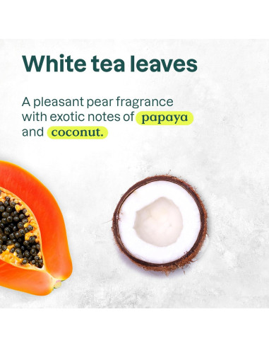 Jabón Líquido ATTITUDE Coco y Bayas Silvestres 473 ml - Paquete de 6