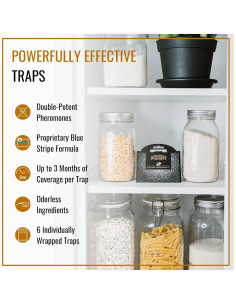 Trampas Adhesivas para Polillas de Alacena Dr. Killigan - 6 Unidades 2