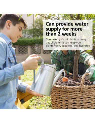 Ollas de Riego Automáticas Lovely Ran 15 cm Terracota