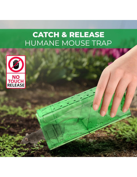 Trampa Humana para Ratones Teal Elite - Paquete de 2 Verde