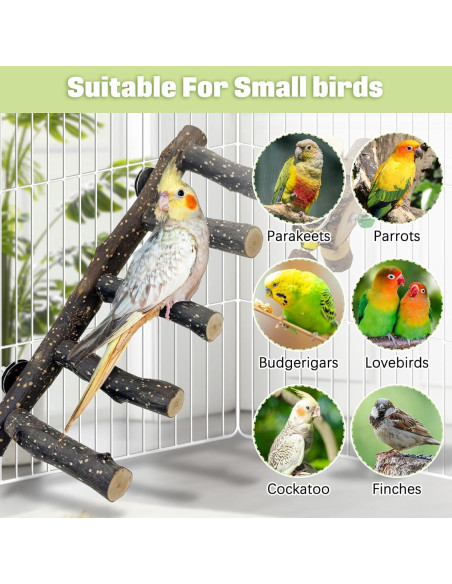 Escalera de Madera Natural BNOSDM 31.75 cm para Aves