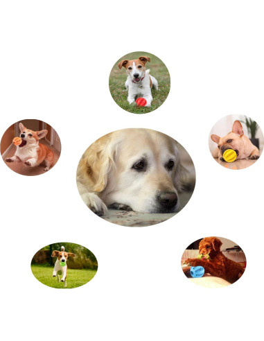 Pelota de Juguete para Perros Sunglow - Limpieza de Dientes 6cm