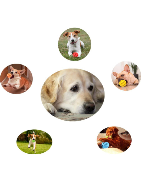 Pelota de Juguete para Perros Sunglow - Limpieza de Dientes 6cm