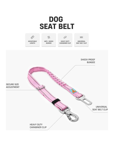 Cinturón de Seguridad para Perros Dog Friendly Co. Negro Ajustable