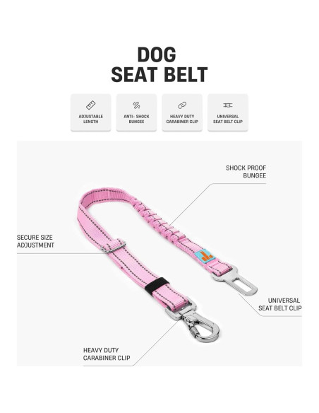 Cinturón de Seguridad para Perros Dog Friendly Co. Negro Ajustable