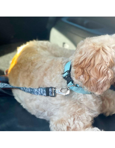 Cinturón de Seguridad para Perros Dog Friendly Co. Negro Ajustable