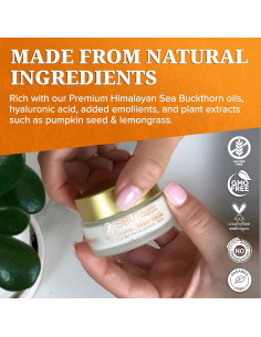 Crema Nocturna Rejuvenecedora Sibu 109.6 g - Hidrata y Repara 2