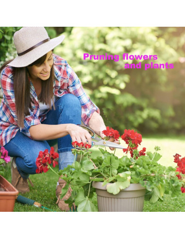 Conjunto de Tijeras de Cocina AUDAMI 2 Pcs Acero Inoxidable