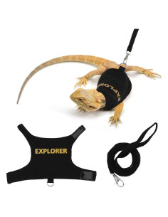 Conjunto Arnés y Correa Hypeety Dragón Barbudo Negro