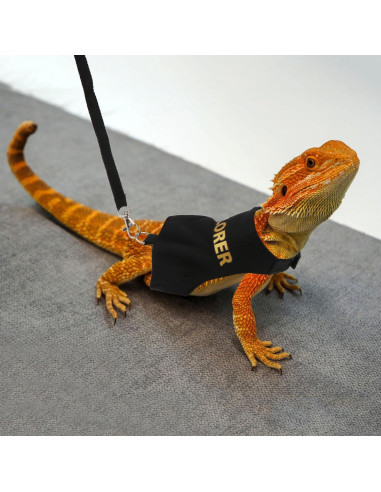 Conjunto Arnés y Correa Hypeety Dragón Barbudo Negro