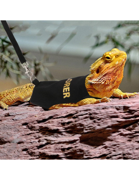 Conjunto Arnés y Correa Hypeety Dragón Barbudo Negro