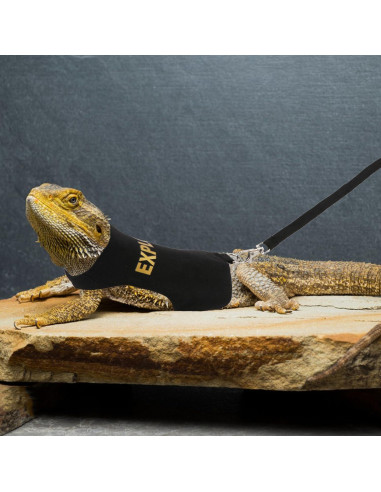 Conjunto Arnés y Correa Hypeety Dragón Barbudo Negro