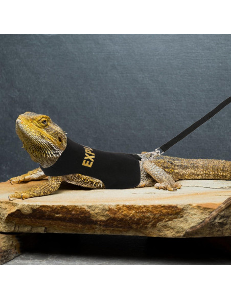 Conjunto Arnés y Correa Hypeety Dragón Barbudo Negro