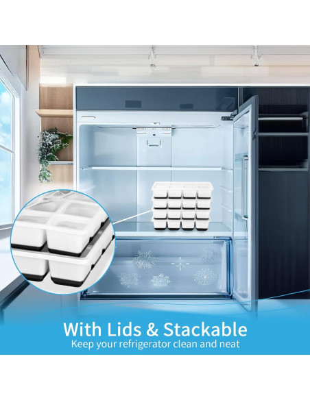 Bandejas de Hielo Grandes Jrisbo con Tapa - 2 Piezas, Silicona