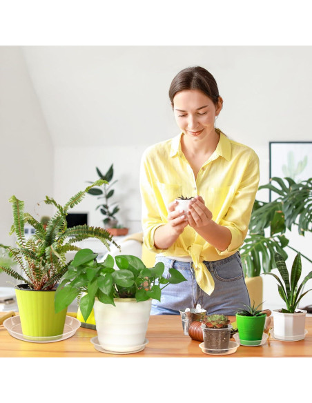 Paquete de 6 Platillos Transparentes para Macetas 8.4 cm FUIJOL