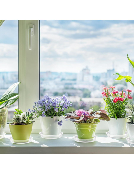 Paquete de 6 Platillos Transparentes para Macetas 8.4 cm FUIJOL