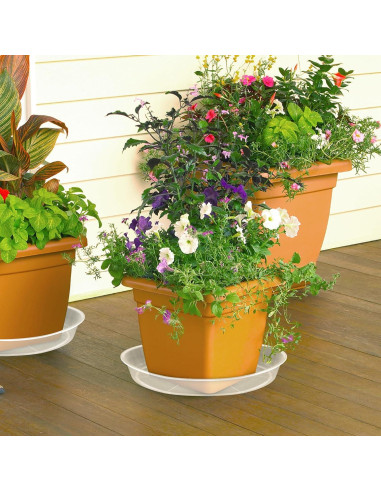 Paquete de 6 Platillos Transparentes para Macetas 8.4 cm FUIJOL