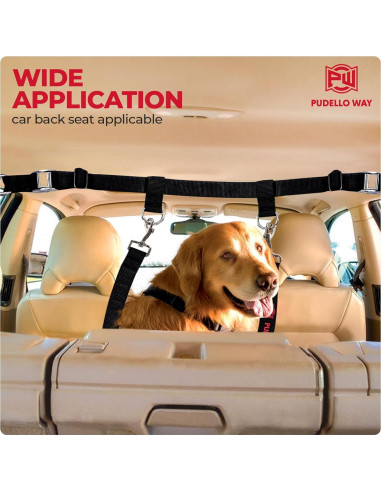 Correa de Seguridad Ajustable para Perros PUDELLO WAY - Incluye Guantes