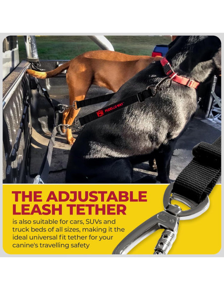 Correa de Seguridad Ajustable para Perros PUDELLO WAY - Incluye Guantes