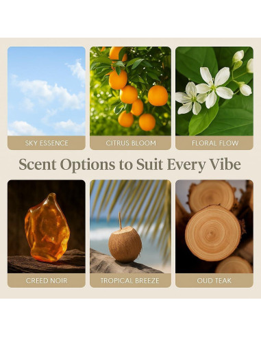 Kit de Fragancia para Automóvil Aeris - Clip + Piedra Recargable