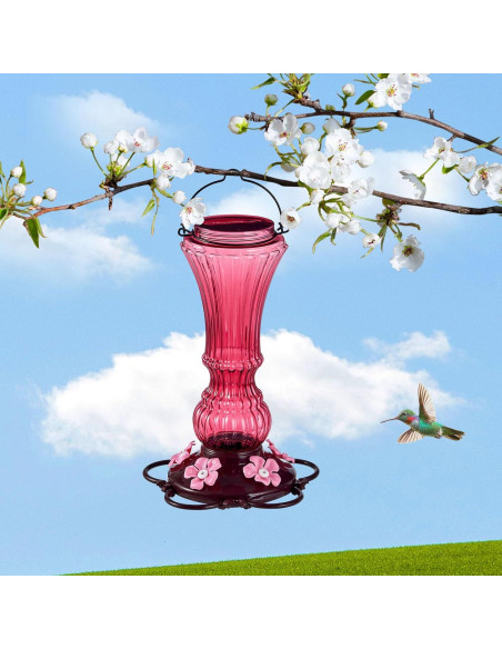 Comedero para Colibríes Beserie 20 oz Rojo 2 Pack