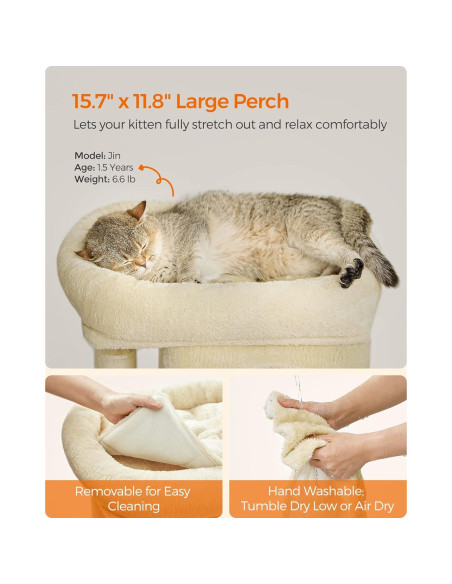 Árbol para Gatos Feandrea S Beige 67 cm con 2 Cuevas y Rascador Árbol para Gatos Feandrea S Beige 67 cm con 2 Cuevas y Rascador