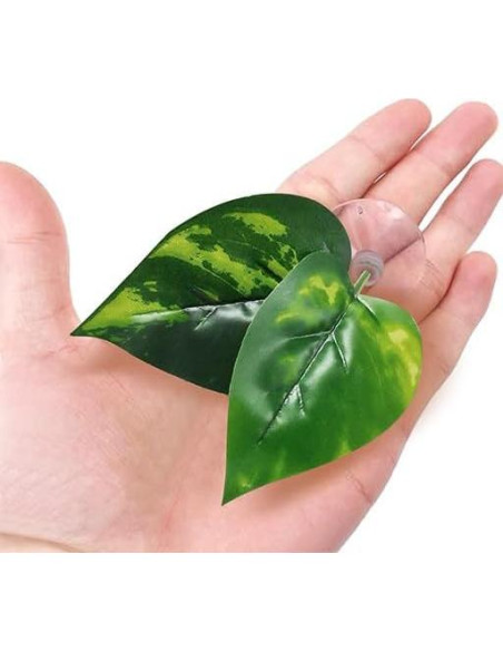 Hamaca para Peces Betta Moonorange - 3 Almohadillas de Hoja