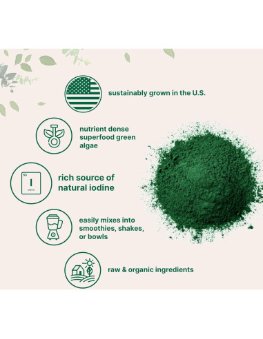 Polvo de Kelp Orgánico Micro Ingredients 0.91kg - Rico en Yodo
