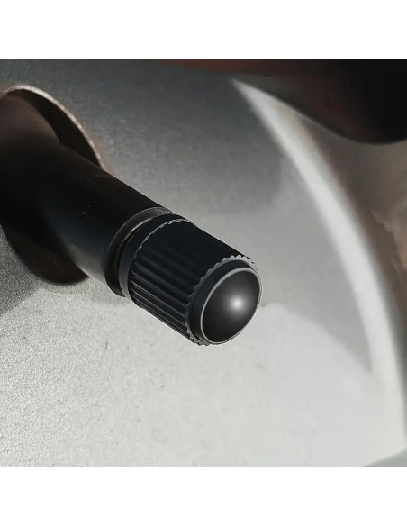 Paquete de 10 Tapas de Válvula de Neumático TPMSCENTER Negro Paquete de 10 Tapas de Válvula de Neumático TPMSCENTER Negro