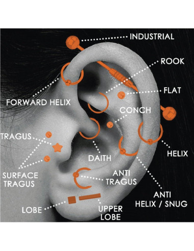 Kit de Piercing Corporal BodyJ4You 36PC - Acero Quirúrgico 14G 16G