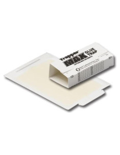 Trampas de Pegamento Trapper Max 12 Tableros No Tóxicos