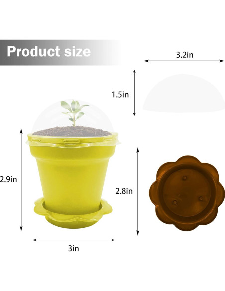 25 Macetas de Vivero ESTRELLA PURPURA para Plantas Suculentas