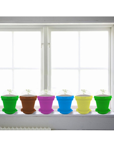 25 Macetas de Vivero ESTRELLA PURPURA para Plantas Suculentas