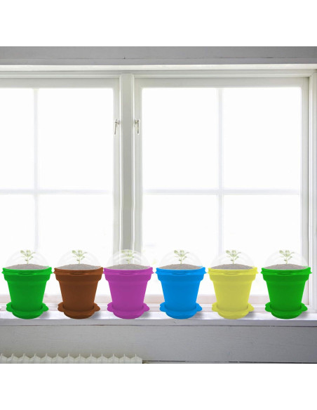 25 Macetas de Vivero ESTRELLA PURPURA para Plantas Suculentas