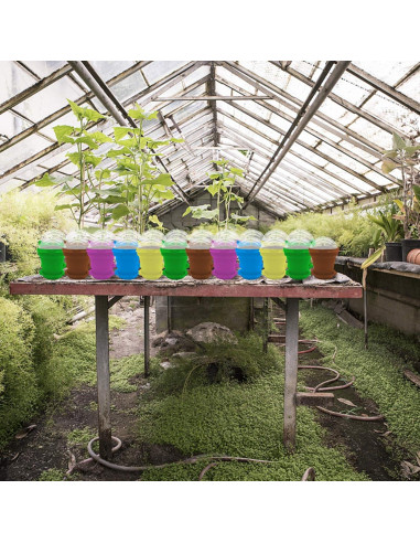 25 Macetas de Vivero ESTRELLA PURPURA para Plantas Suculentas