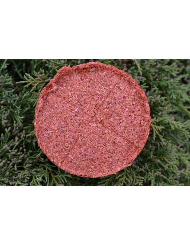 Encendedores Super Cedar - Paquete de 4 para 16 fuegos