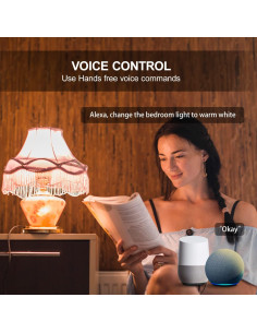 Bombillas Inteligentes Zigbee A15 LEDEPLY E26 5W Regulables 2 Pzas 2