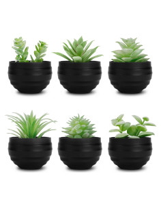 Set de 6 Plantas Suculentas Artificiales Der Rose en Macetas Negras