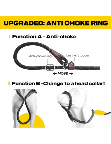 Correa Deslizante Fida para Perros Grandes 1,27cm x 1,83m