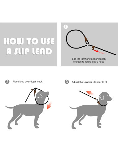 Correa Deslizante Fida para Perros Grandes 1,27cm x 1,83m